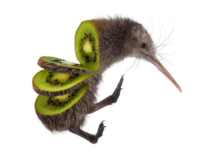 Apa Jadi Pada Kiwi Selepas Data Imbangan Perdagangan Dikeluarkan?