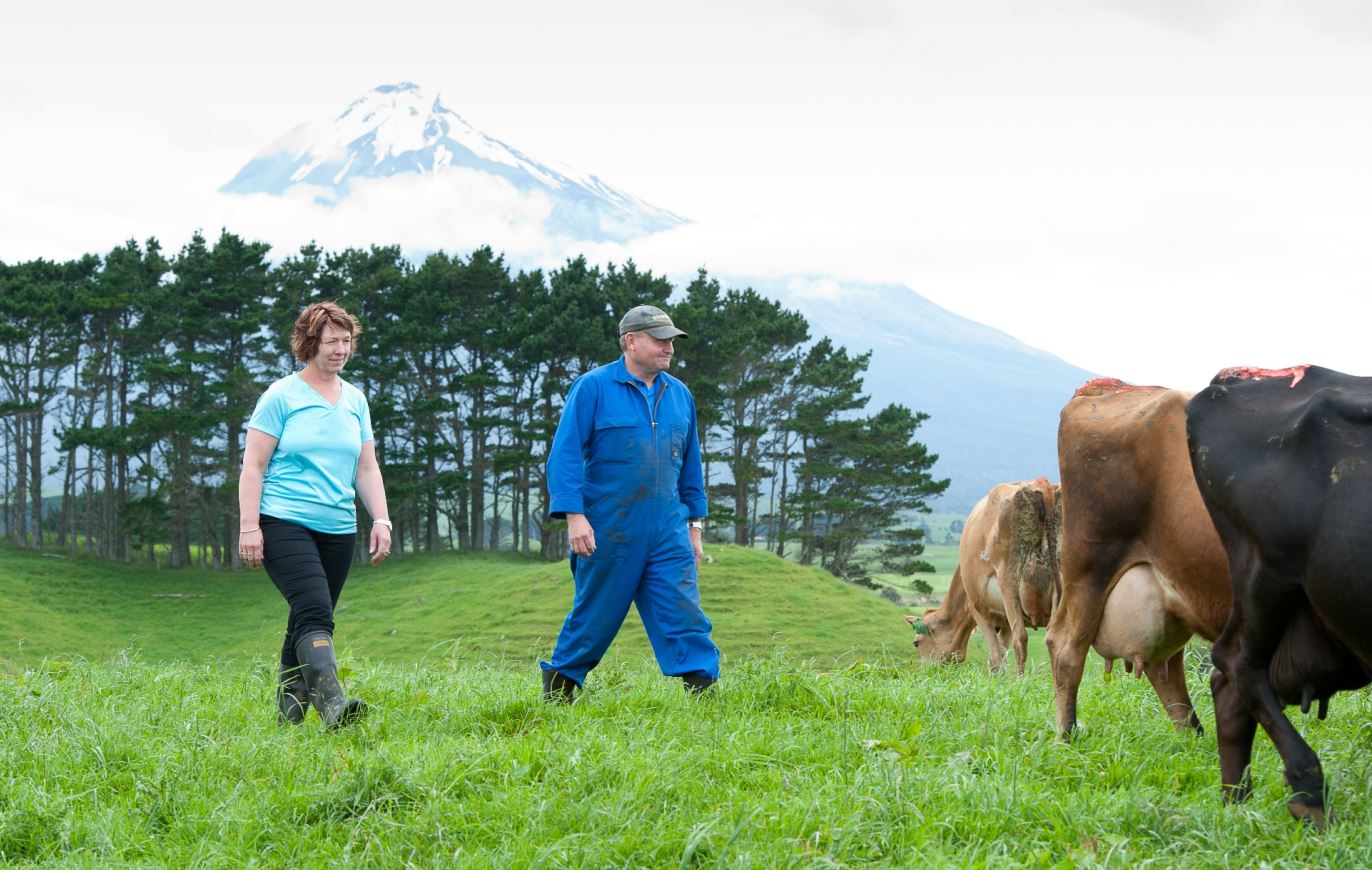 Indeks Harga Produk Tenusu New Zealand Naik 3.5%