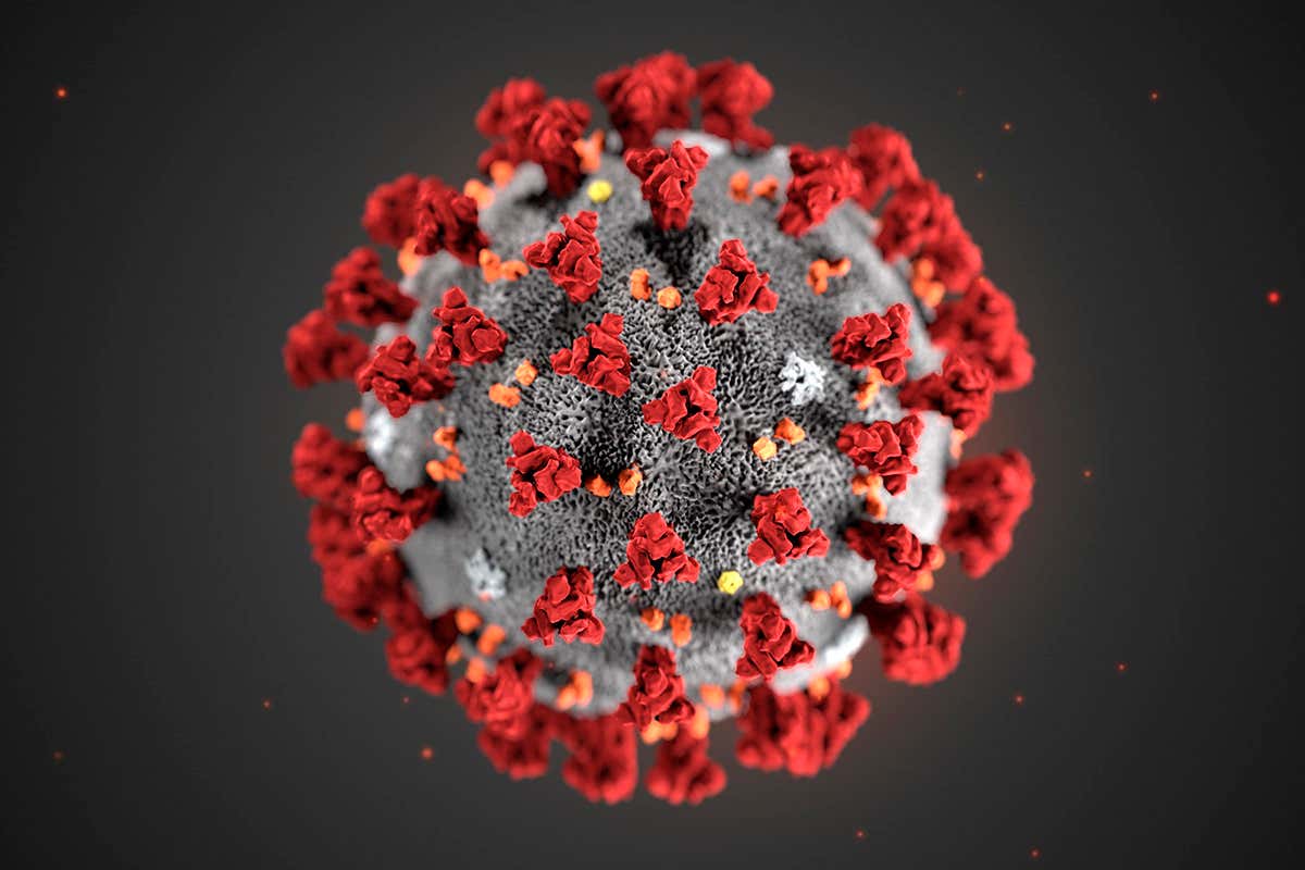 Setelah Diuji, Virus Covid Sebenarnya Mampu Bertahan 28 Hari