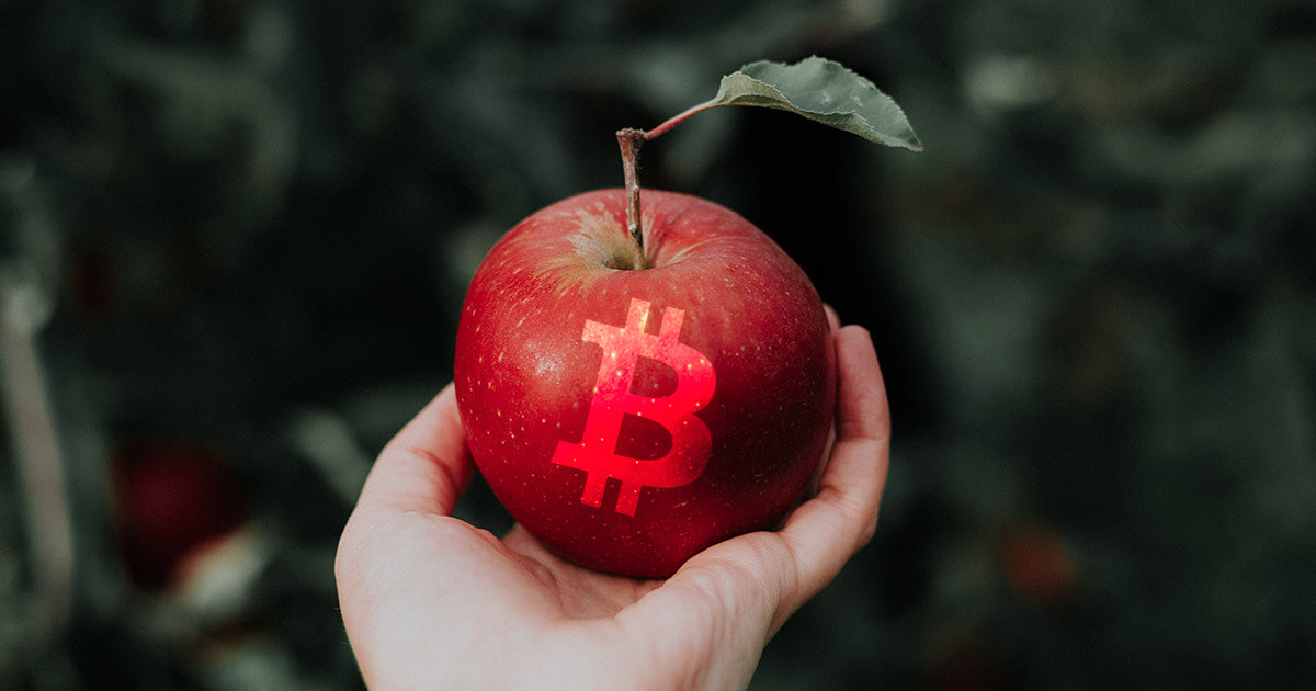 Apple + Bitcoin: Adakah Satu Gabungan Yang Menguntungkan?