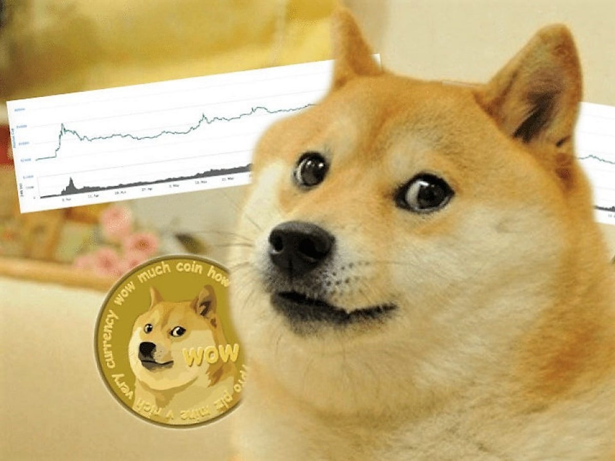Opps! Bukan DOGE Tapi Shiba Inu (SHIB) Melonjak Lebih Tinggi!