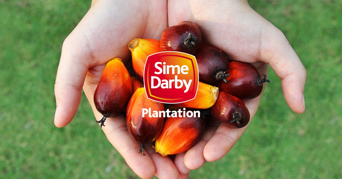 Sime Darby Plantation Catat Kadar Keuntungan Luar Biasa!