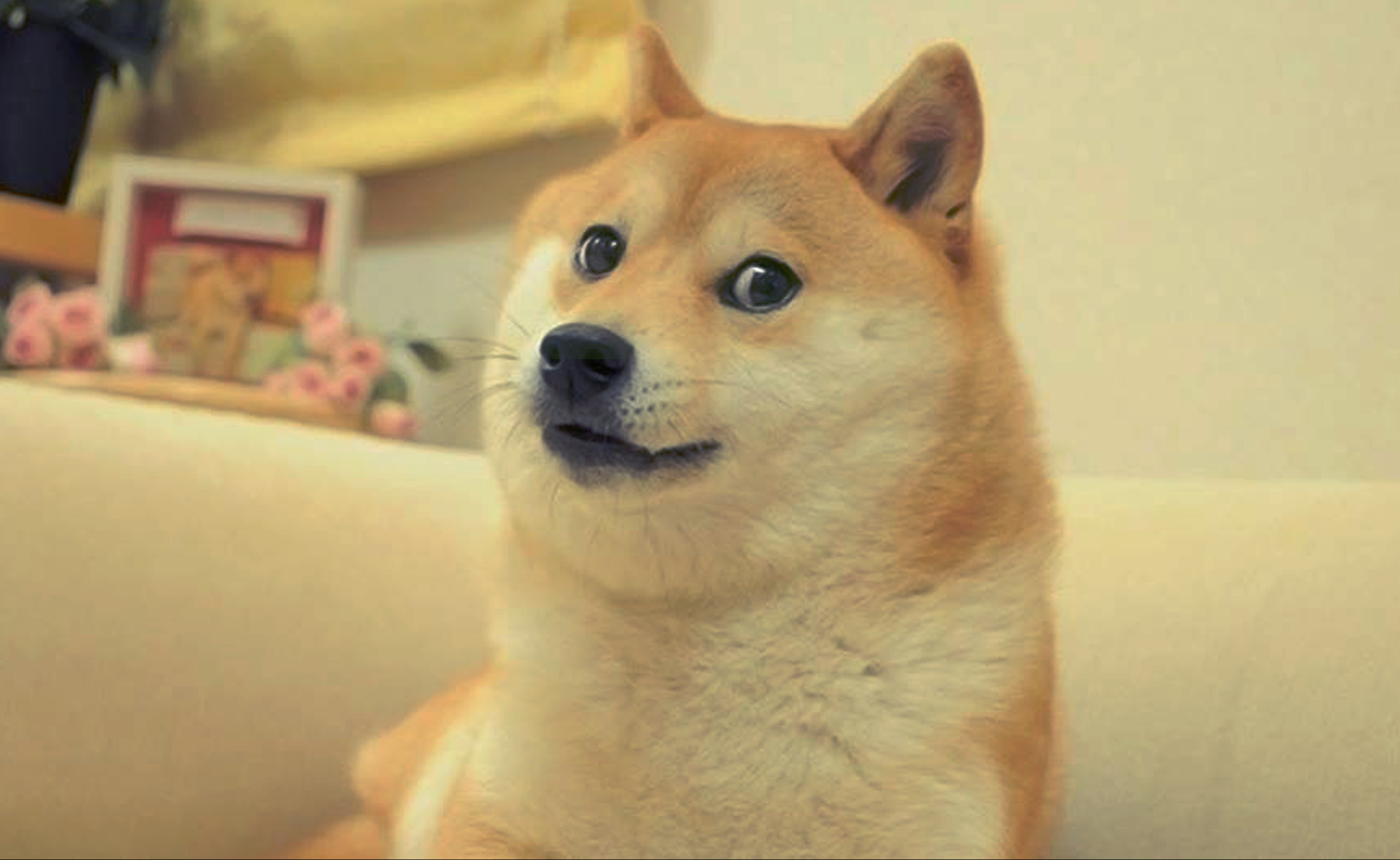 NFT Meme Doge Ini Bernilai Lebih RM1.6 Bilion, Anda Pun Boleh Milikinya!