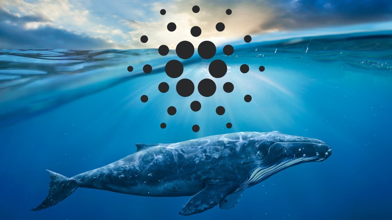 Jaga-Jaga! 94% Bekalan ADA Dalam Pasaran Dikawal 10% Whales Cardano!