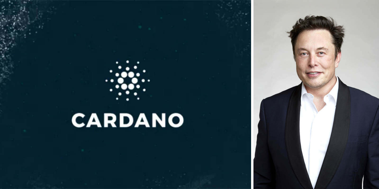 Pengasas Cardano (ADA) ‘Pujuk’ Elon Musk Bangunkan Platform Media Sosial Bersama
