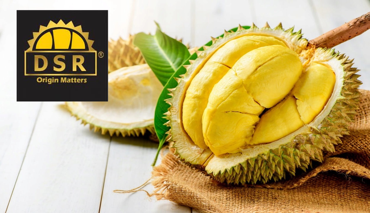 Durian Runtuh! Saham DSR Taiko Lonjak 200% Pada Debut Di Bursa
