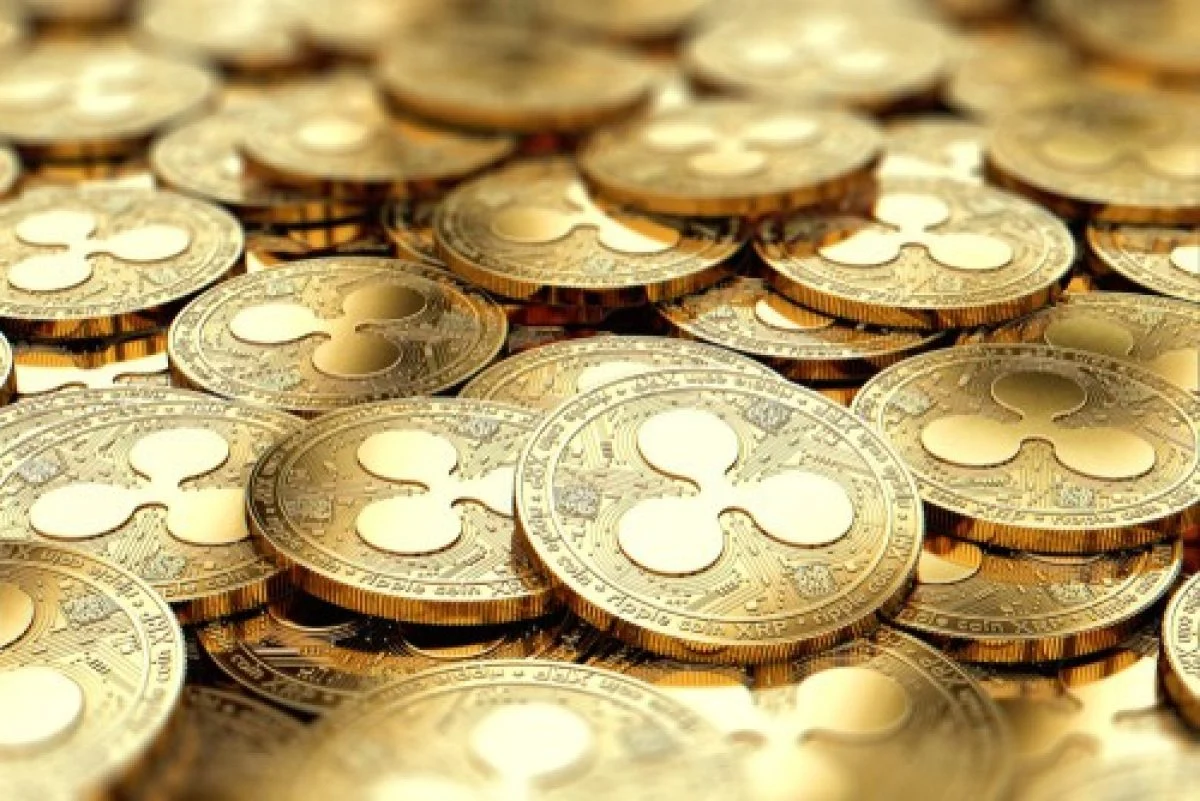 Demi Beli XRP, TikToker Ini Sanggup Gadai Rumah $500K!