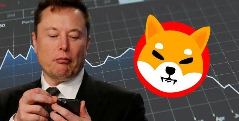 Elon Musk Dijemput Ke Pembukaan Shibarium Mainnet, Komuniti Gembira!