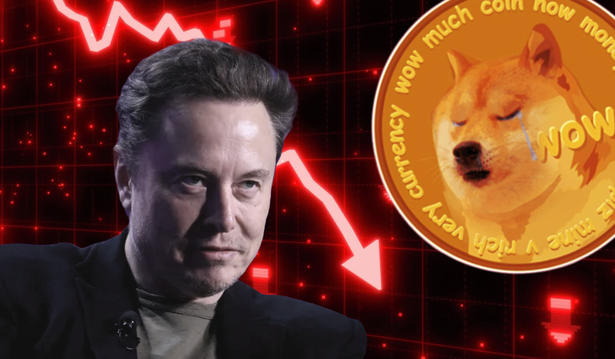 Dakwaan Elon Musk Menipu Dogecoin Dibatalkan, Pengguna X Ramai Terciduk!