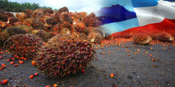 Sabah ‘Top Producer’ Minyak Sawit Di Malaysia, Hasilkan 4.5 Juta Tan Pada 2023!