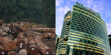 Bank Islam ‘Buang’ RM52 juta Untuk Ladang Kelapa Sawit Rosak?