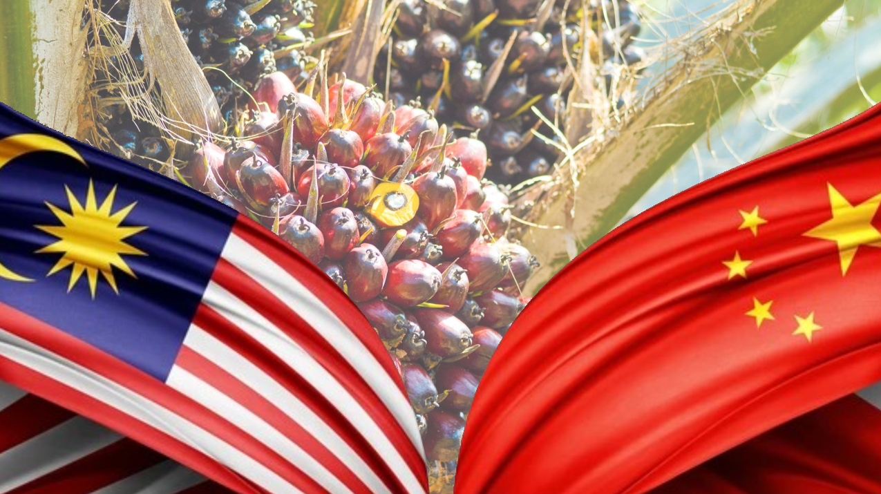 Malaysia Tarik Pelaburan China untuk Revolusi Minyak Sawit