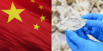 MYMBN Hadapi Kerugian RM2.5 Juta Susulan Penggantungan Eksport Sarang Burung Ke China