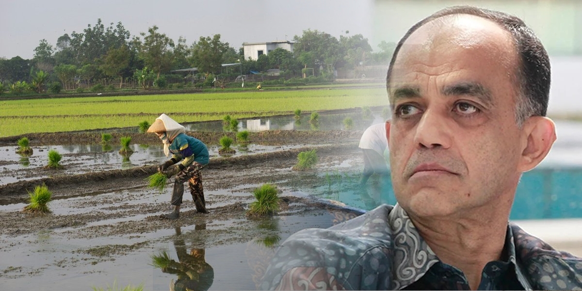 Kerajaan Naikkan Harga Minimum Padi, Jutawan Syed Mokhtar Sumbang RM30 Juta Untuk Pesawah