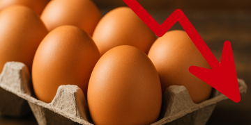 Harga Telur Di Amerika Lebih Murah, Turun 18%