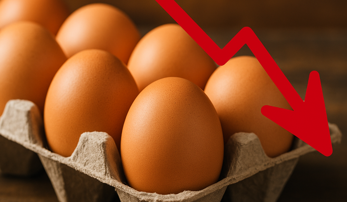 Harga Telur Di Amerika Lebih Murah, Turun 18%