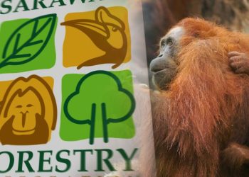 Sarawak Peruntuk Dana RM2 Juta Untuk Pelihara Orang Utan!