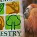 Sarawak Peruntuk Dana RM2 Juta Untuk Pelihara Orang Utan!