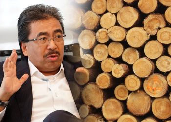 Kerajaan Larang Eksport Kayu Balak – Johari Ghani