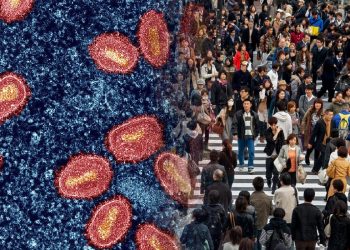 Kes Pertama Virus Mpox Clade 1b Dikesan Di Jepun