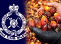 PGA Gagalkan Cubaan Seleweng Minyak Sawit RM1.1 Juta