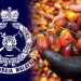 PGA Gagalkan Cubaan Seleweng Minyak Sawit RM1.1 Juta