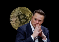 Bitcoin Mampu Kalis Inflasi, Wang Fiat Hanya ‘Palsu’ – Elon Musk