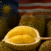 Eksport Durian Malaysia Ke China Cecah RM6.37 Bilion!