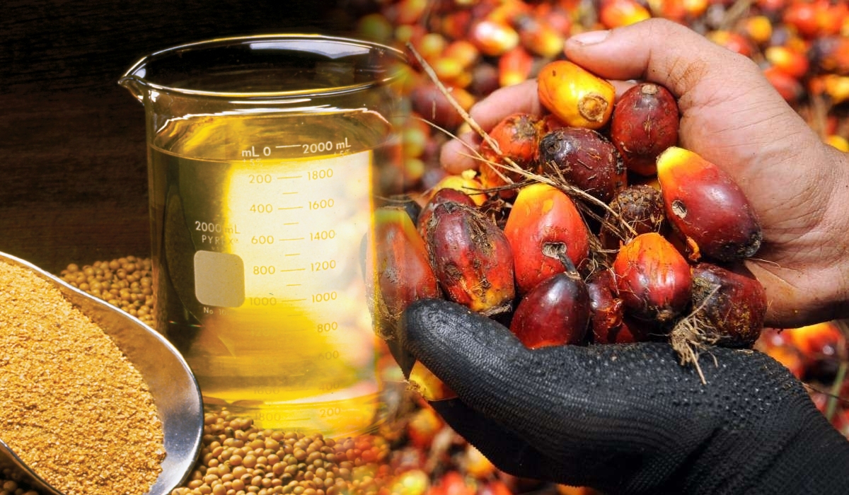 Perang Dagang AS-China Jejas Harga Minyak Sawit & Soya!