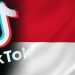 Indonesia Tarik Balik Sekatan Lesen TikTok