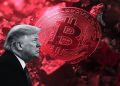 Kripto ‘Crash’ Lesapkan $1.5 Billion Kekayaan Keluarga Trump!