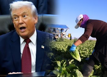 Trump Umum Pakej Bernilai $12 Bilion Bantu Petani Terjejas Tarif!