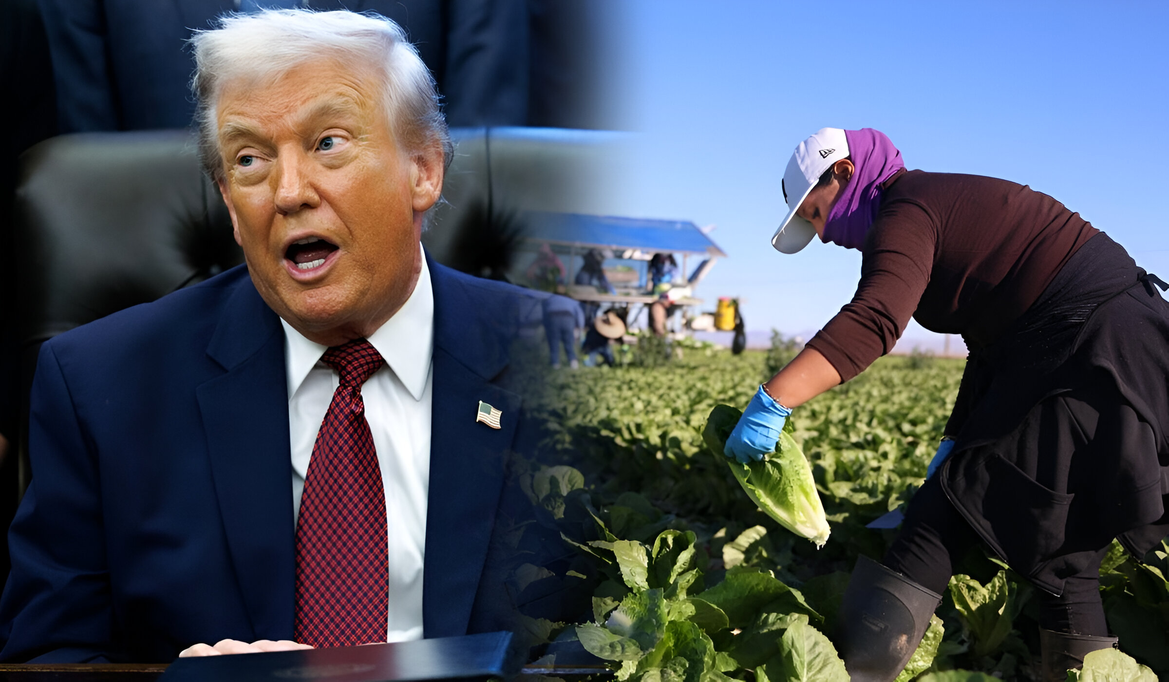 Trump Umum Pakej Bernilai $12 Bilion Bantu Petani Terjejas Tarif!