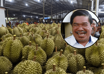 China Kini Lebih Minat Durian Thailand & Vietnam Berbanding Malaysia – Mat Sabu