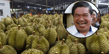 China Kini Lebih Minat Durian Thailand & Vietnam Berbanding Malaysia – Mat Sabu