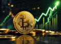 Belian Bitcoin Kembali Rancak Selepas Lama Tidur!