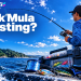 Nak Mula Casting? 5 Peralatan Pancing Ini Boleh Lengkapkan Setup Anda