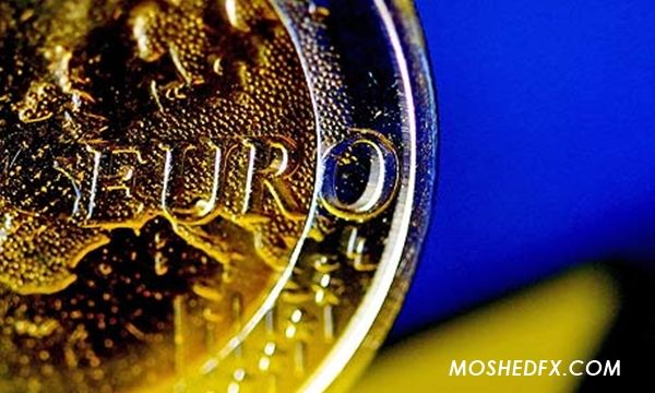 A close-up view of a Euro coin