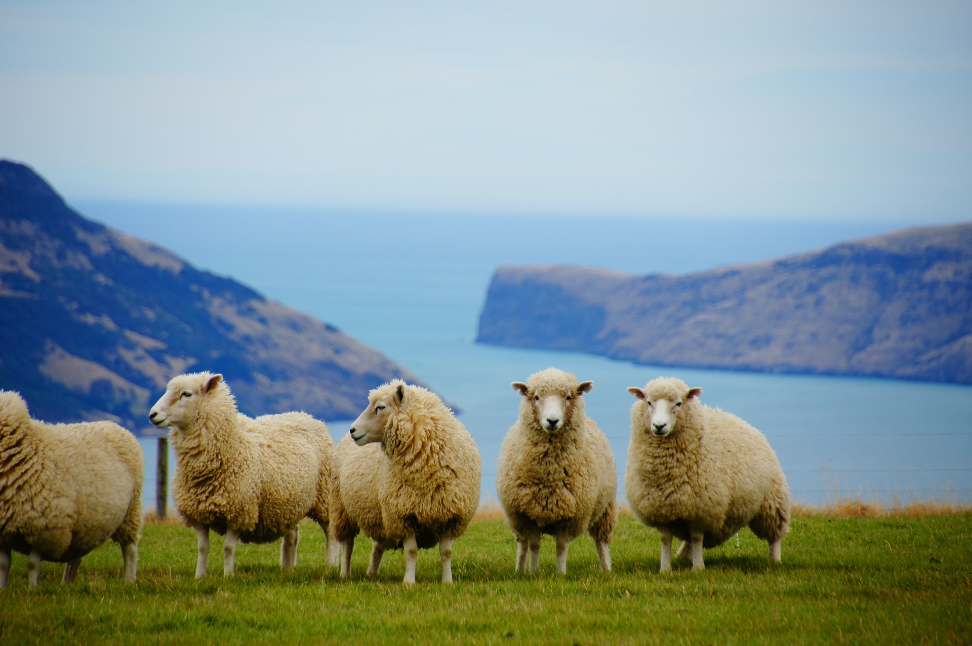 New Zealand Rampas Kedudukan Singapura Dalam Kajian Terkini Oleh Bank Dunia Ini!