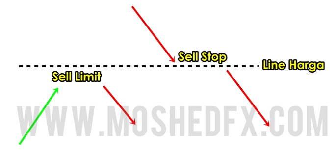 belajar-forex-letak-sell-limit-sell-stop