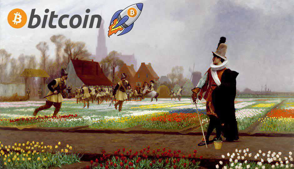Kajian Kes : Krisis Ekonomi Tulip Mania-  Bitcoin Adalah Tulip Abad Ke-21?