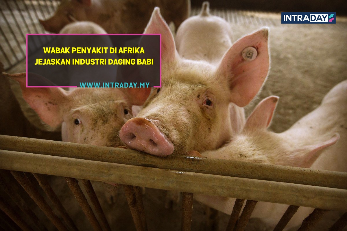 Industri Pasaran Daging Babi Yang Terjejas Bakal Pengaruhi Rundingan Dagang AS-China