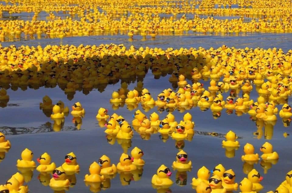 Evergreen: Punca Beribu ‘Itik Mainan’ Terapung Di Laut Sejak 1992 !!