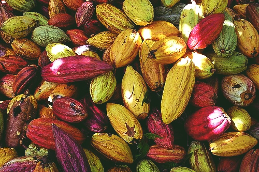 Wah! Sektor Ini Antara Penyumbang Terbesar Kepada KDNK 2020