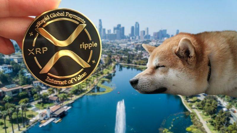 ‘Dogecoin Meragukan’ – CEO Ripple Tolak Kehadiran DOGE Dalam Pasaran Kripto