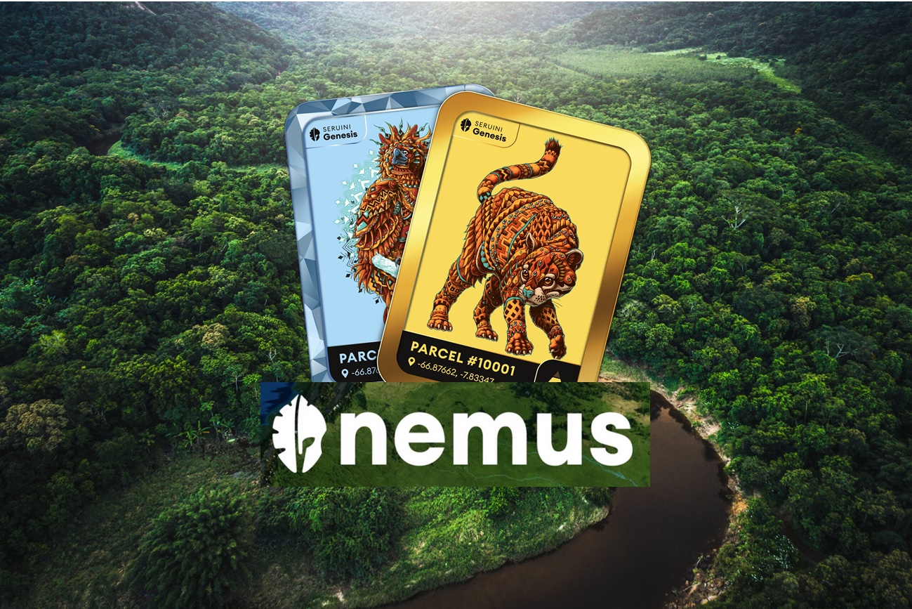 Dengan Kuasa NFT Akan Selamatkanmu Hutan Amazon