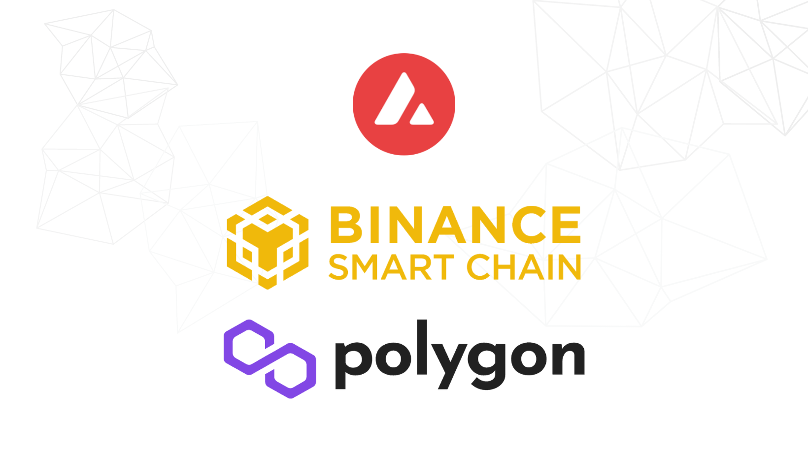 Rangkaian Polygon, BNB Chain, Avalanche Kekal ‘Steady’ Walaupun Pasaran Bergelojak