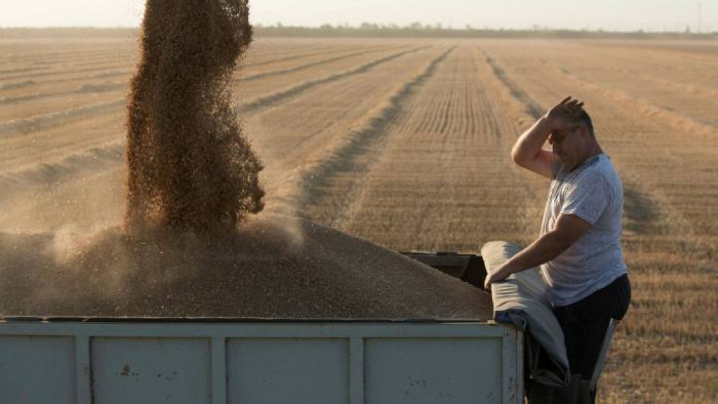 Harga Gandum Jatuh 1.77% Kerana Komen Vladimir Putin