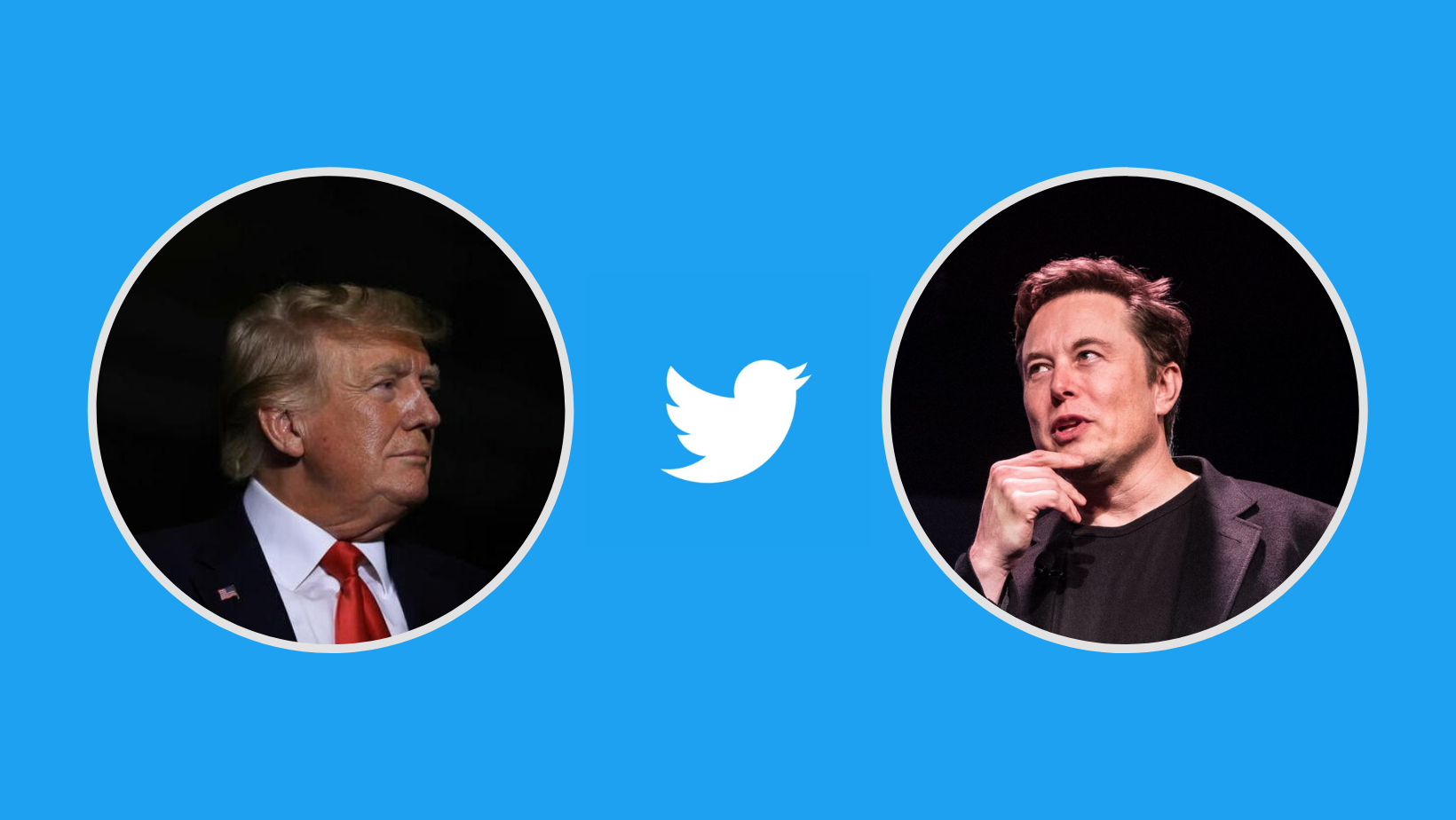 Elon Musk Berjasa Lagi? Donald Trump Akan ‘Comeback’ Di Twitter