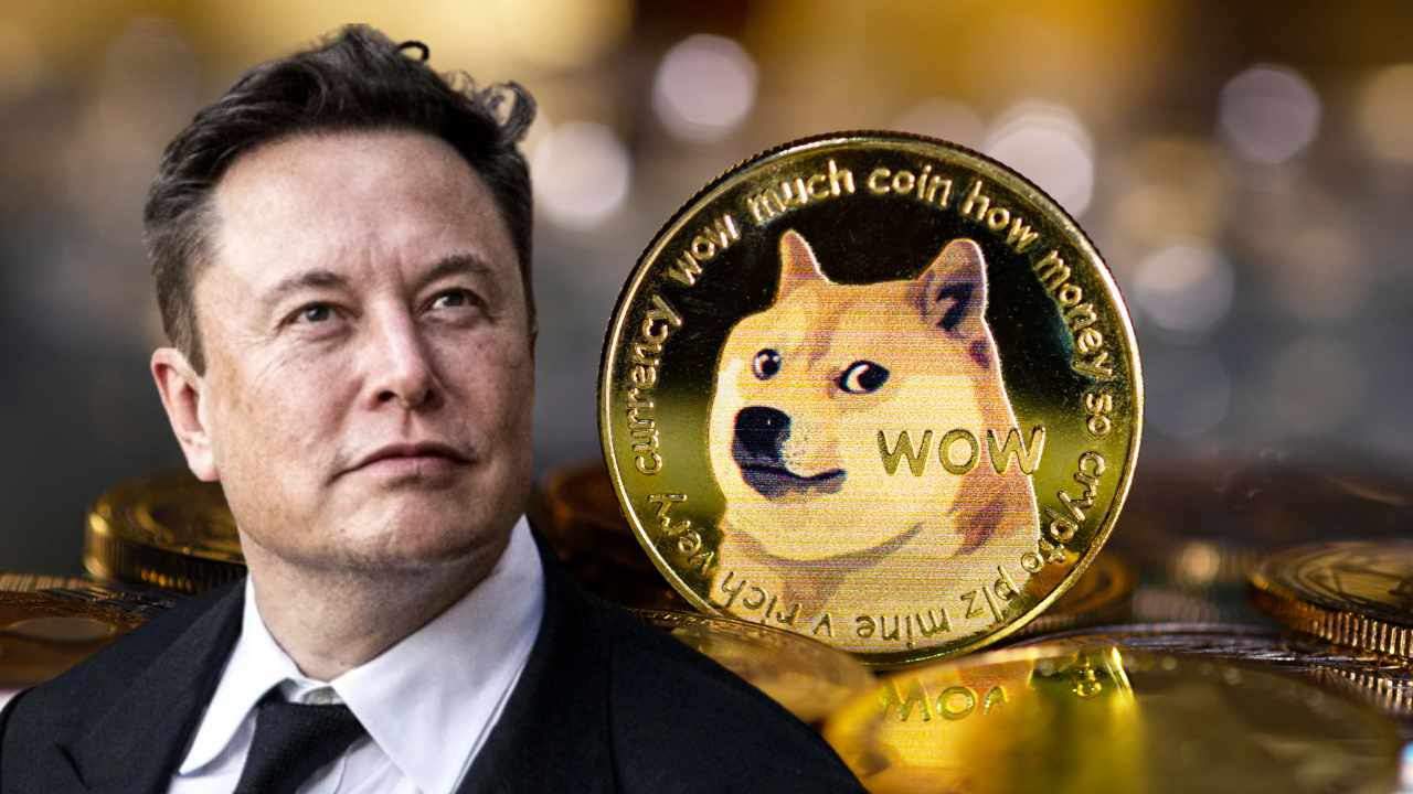 Elon Musk Disaman $258 Bilion, Dituduh Buat Skim Piramid Dogecoin?